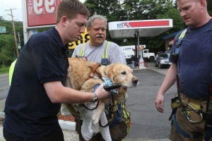 Vodič je spasio ljubavnicu vlastitog zdravlja Vodič je spasio ljubavnicu vlastitog zdravlja